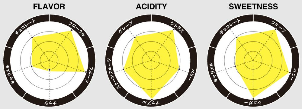 フレーバーチャート画像