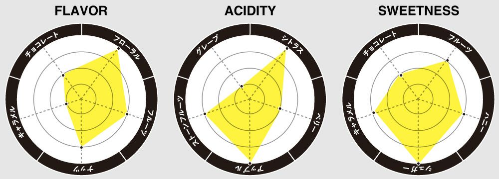 フレーバーチャート画像