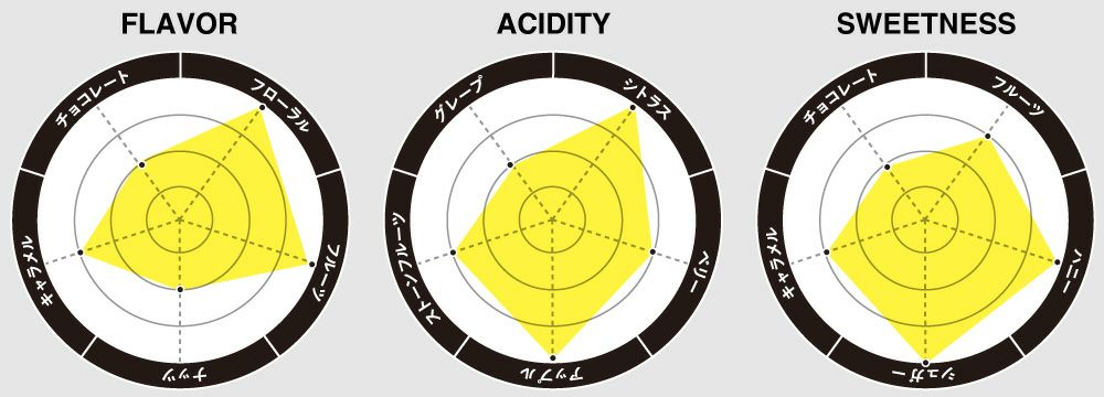 フレーバーチャート画像