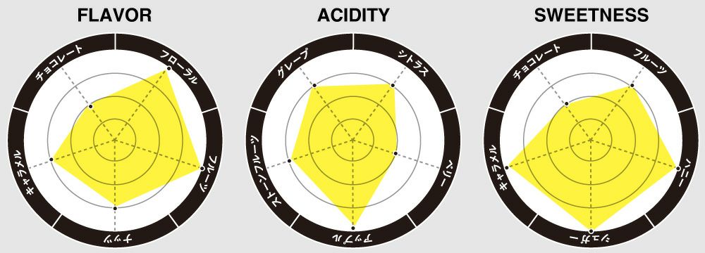 フレーバーチャート画像