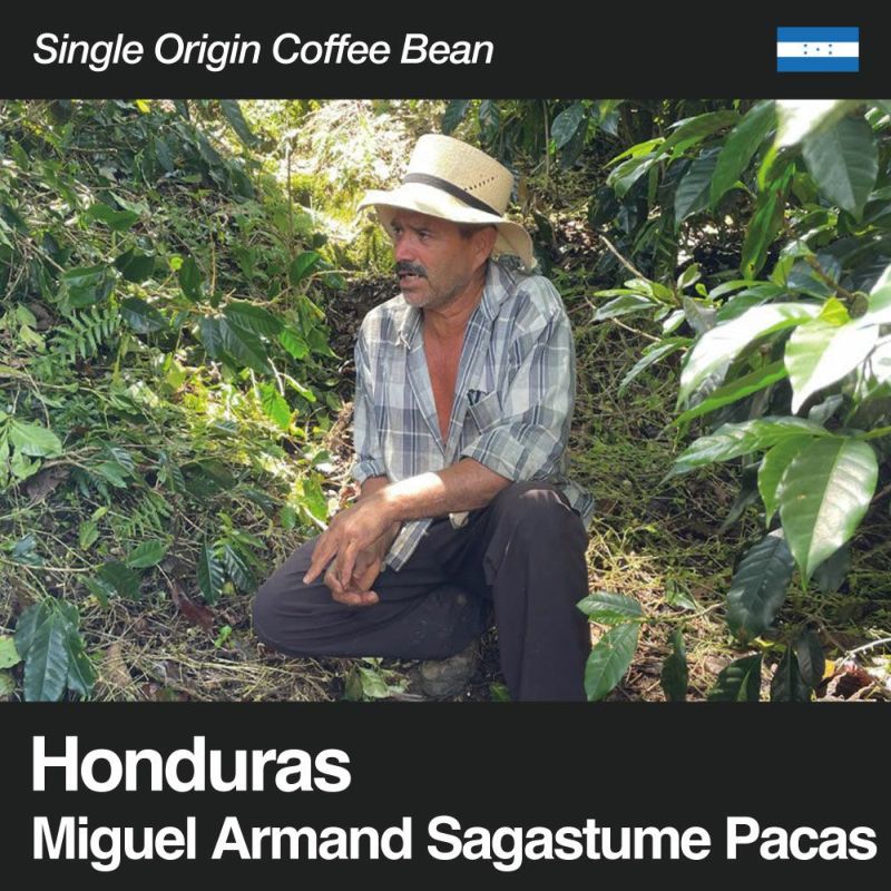 Cuba アーレム カンポス さんの マラカス と LP 395 本革 本皮 Cuba アーレム カンポス さんの マラカス と LP 395 本革 本皮 Cuba