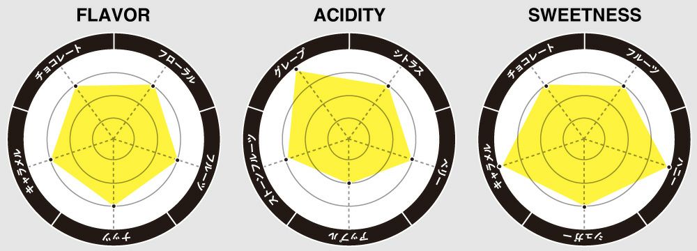 フレーバーチャート画像