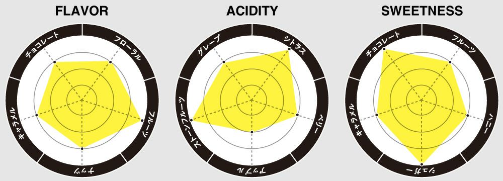 フレーバーチャート画像