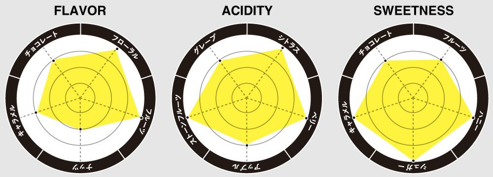 フレーバーチャート画像
