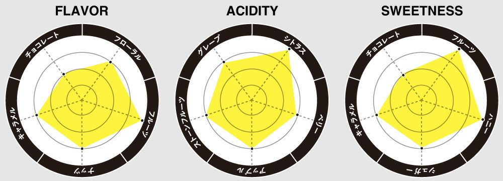フレーバーチャート画像