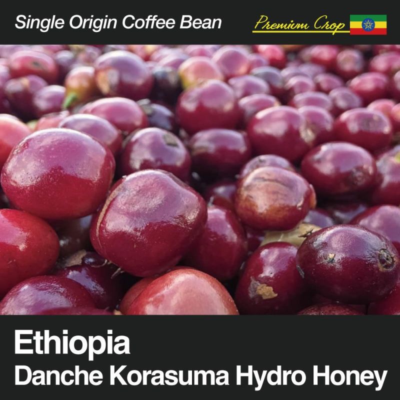 Ethiopia / Danche Korasuma Hydro Honey(エチオピア / ダンシェ