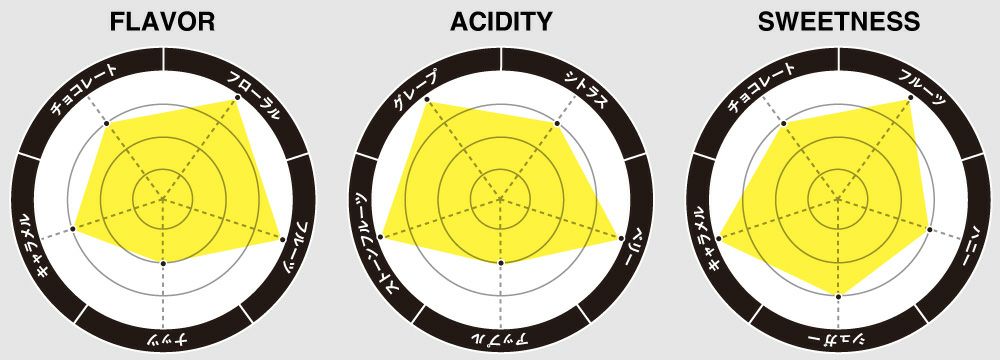 フレーバーチャート画像