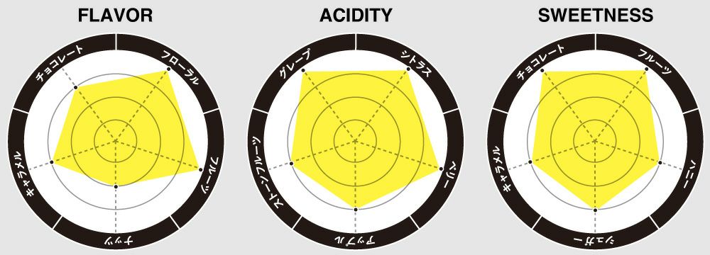 フレーバーチャート画像
