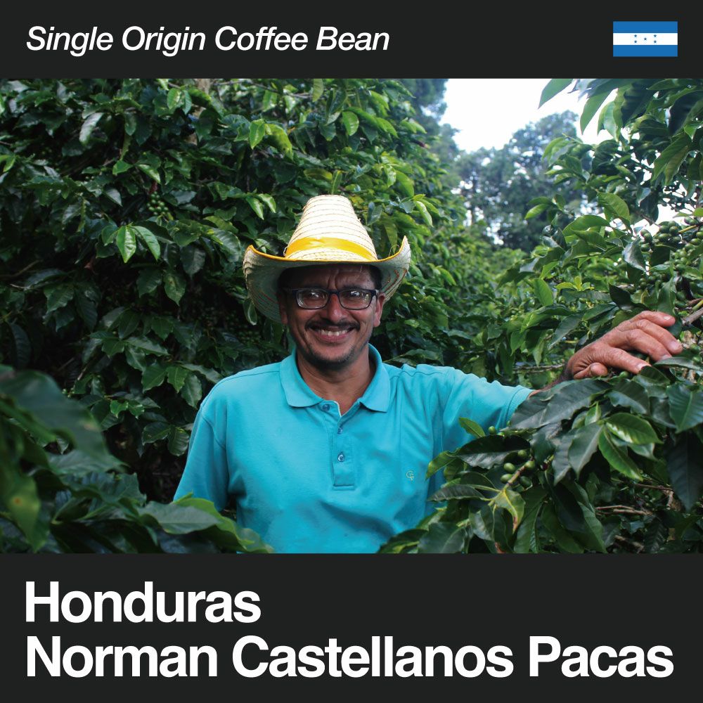 Honduras / Norman Castellanos Pacas（ホンジュラス / ノルマン・カステジャノス・パカス）