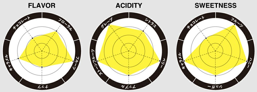 フレーバーチャート画像