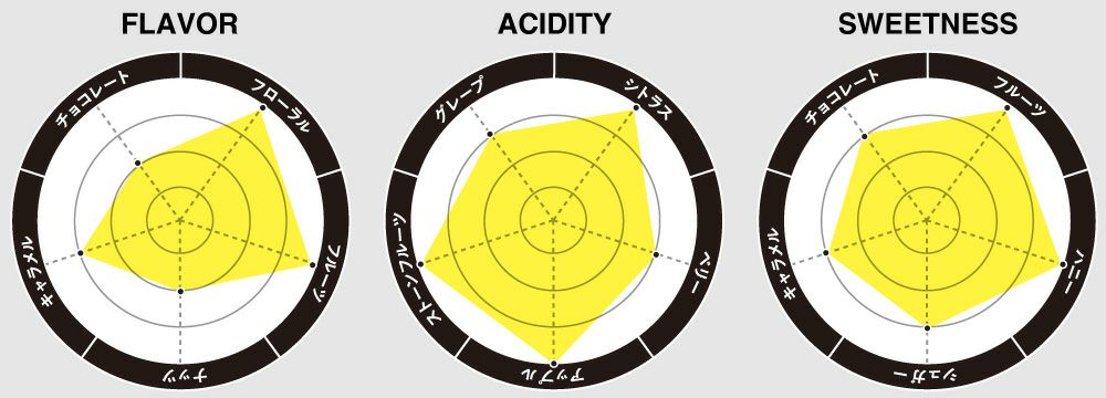 フレーバーチャート画像